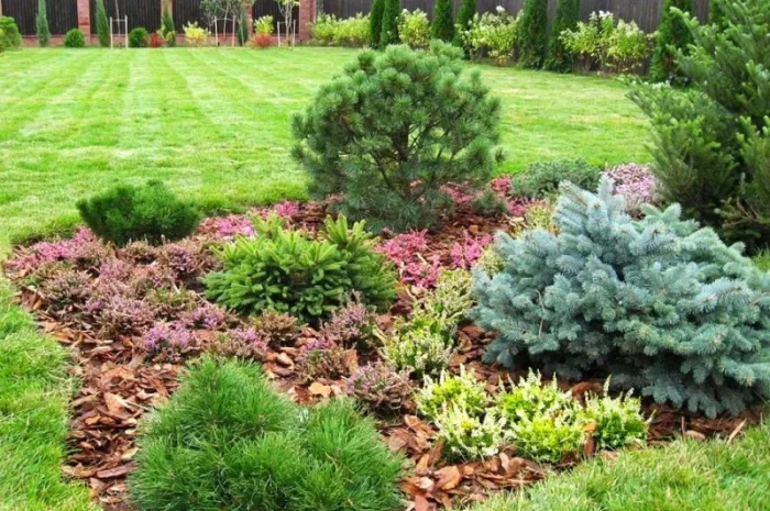 Кора сосновая Мульча Киевская область Киев- фото № 6