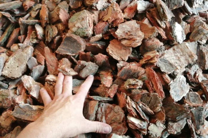 Кора соснова для мульчування в Києві- фото № 1