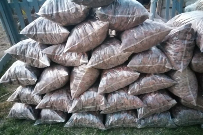 Кора соснова для мульчування в Києві- фото № 4