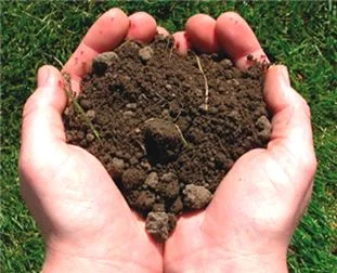 Торф для голубики Киев Торф кислый продажа Киев Верховой торф- фото № 2