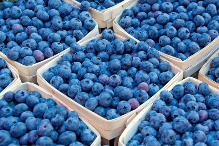 Торф верховой купить Киев Торф кислый Киевская область Торф для голубики рыжий продажа- фото № 4