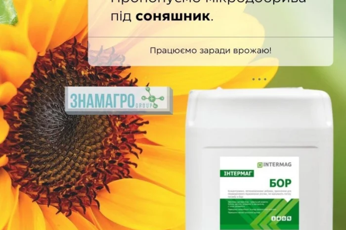 Інтермаг - Бор- фото № 1