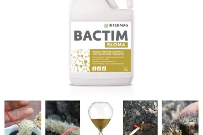 Intermag / Інтермаг - Бактім деструктор- фото № 1