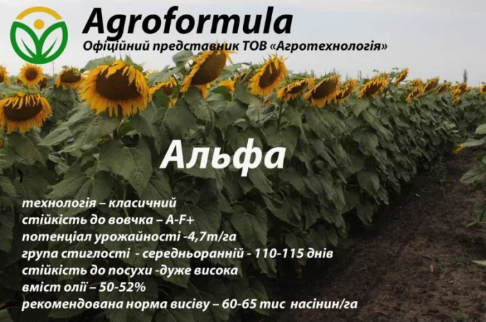 Торгова марка Агроформула пропонує вам насіння соняшнику, мінеральні добрива, та ЗЗР- фото № 2