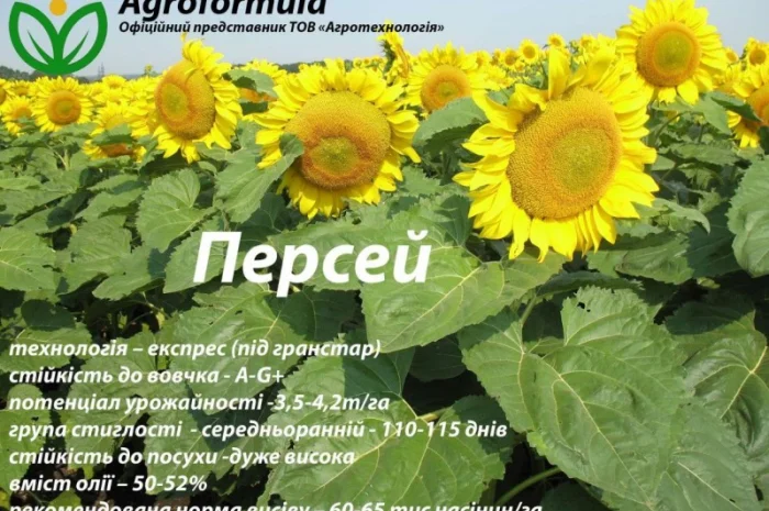 Торгова марка Агроформула пропонує вам насіння соняшнику, мінеральні добрива, та ЗЗР- фото № 4