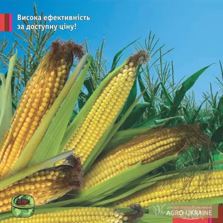 Гербицид Карибу- фото № 2