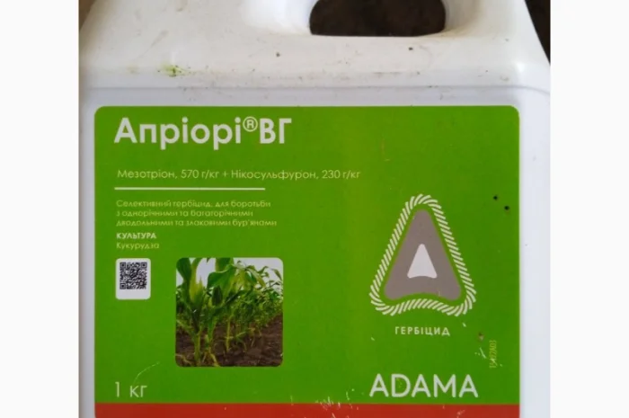Альвіус - надійний захист посівів кукурудзи від комплексу бур'янів- фото № 3