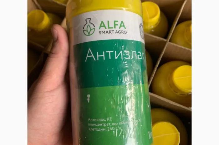 Антизлак - післясходовий грамініцид для знищення одно і багаторічних злакових бур’янів- фото № 1