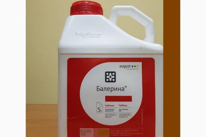 Балерина - системний гербіцид проти бур'янів в посівах зернових, кукурудзи, проса, сорго- фото № 1