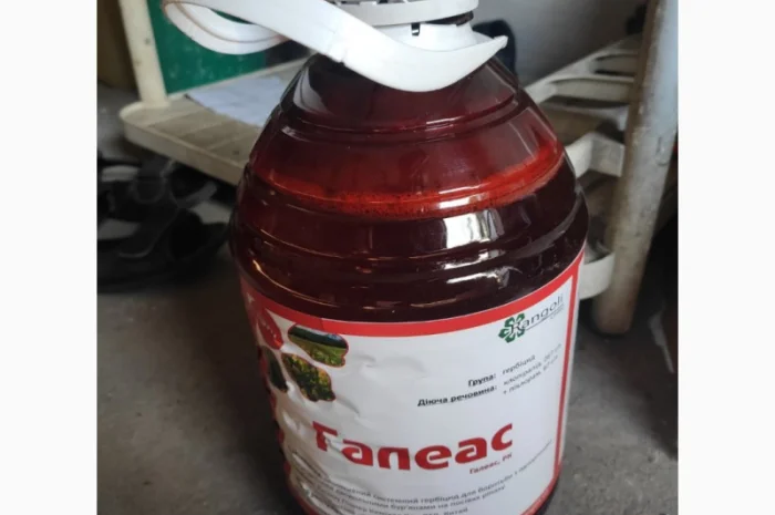 Галеас (аналог Галера) - Ефективний гербіцид проти бур’янів в посівах озимого ріпаку- фото № 1