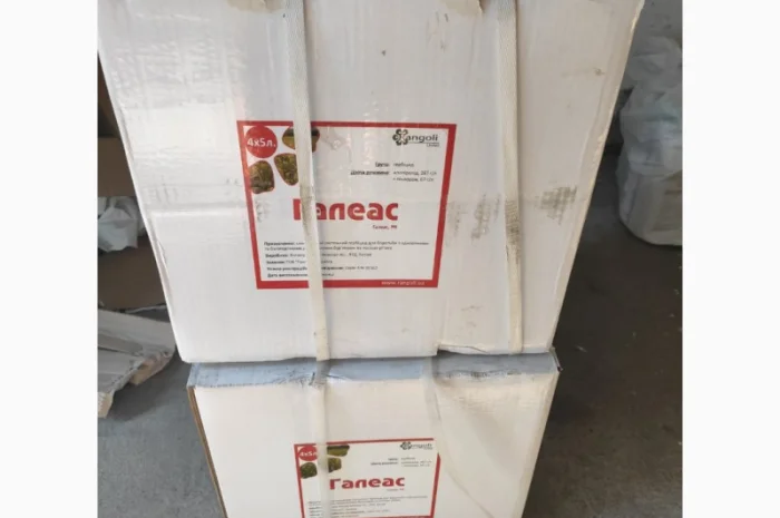 Галеас (аналог Галера) - Ефективний гербіцид проти бур’янів в посівах озимого ріпаку- фото № 3