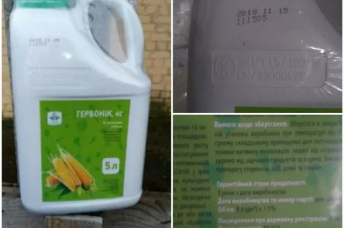 Гербонік - відмінний гербіцид для боротьби із злаковими бур'янами в посівах кукурудзи- фото № 1