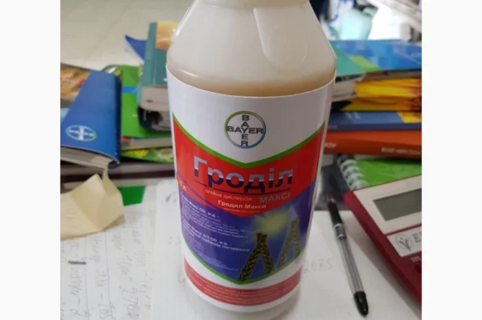 Гроділ Максі - ефективний гербіцид для захисту кукурудзи та зернових- фото № 1