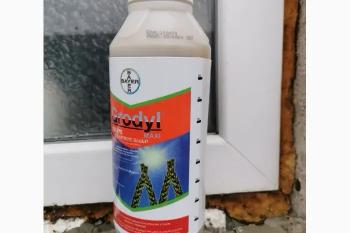 Гроділ Максі - эффективный гербицид для защиты кукурузы и зерновых- фото № 1
