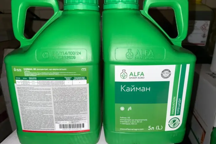 Kaймaн - Инновационный двокомпонентный гербицид против комплекса злаковых сорняков- фото № 1