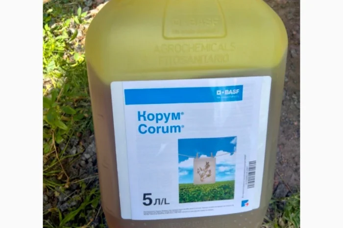 Корум - Двокомпонентний гербіцид для захисту сої та гороху від комплексу бур'янів- фото № 3