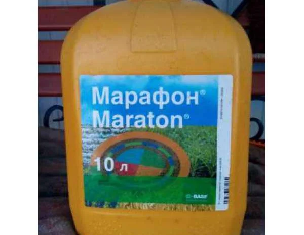 Марафон - гербицид для защиты посевов зерновых культур- фото № 1