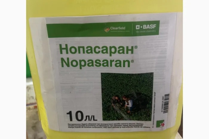 Нопасаран - контроль широкого спектра сорняков в посевах рапса- фото № 1