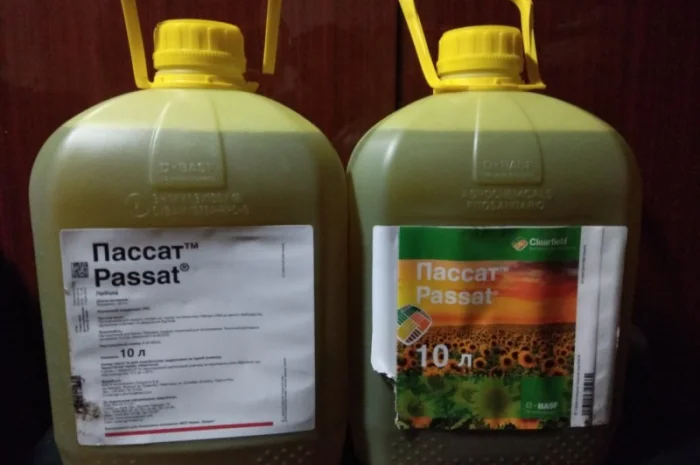 Пассат - гербіцид для боротьби з бур’янами в посівах соняшнику- фото № 2