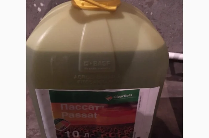 Пассат - гербіцид для боротьби з бур’янами в посівах соняшнику- фото № 1