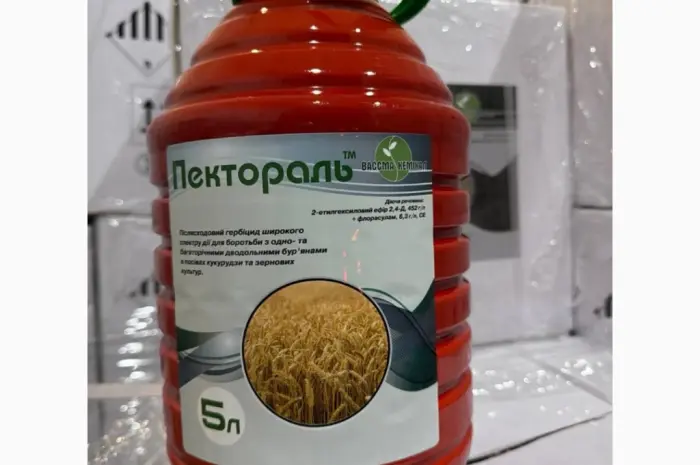 Пектораль - селективный гербицид от сорняков в посевах кукурузы- фото № 1