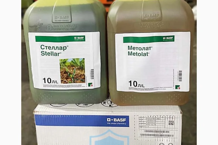 Стеллар + Метолат - надежный и эффективный гербицид для защиты посевов кукурузы- фото № 1