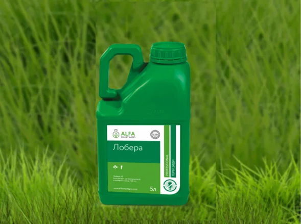 Лобера гербіцид- фото № 1