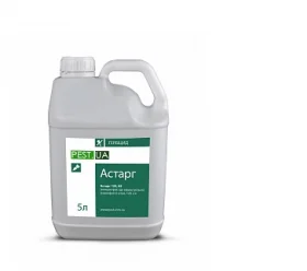 Астарг- фото № 1