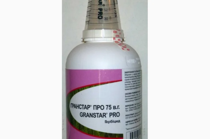 Гранстар- фото № 2