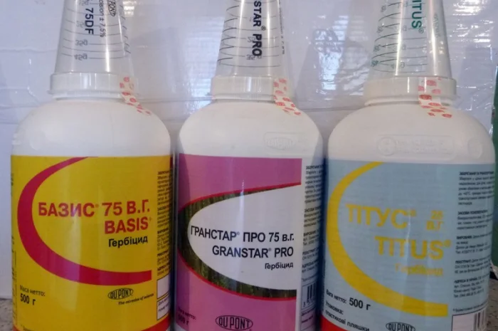 Гранстар, гербистар гербициды на злаковые- фото № 3