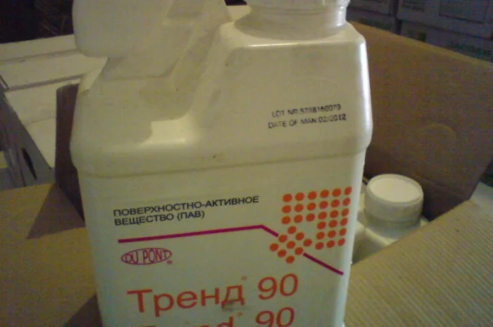 Прилипатель тренд- фото № 1