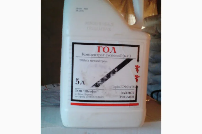 Голтікс(ГОЛ)- фото № 1