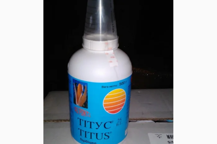 Тітус 25в.г- фото № 1