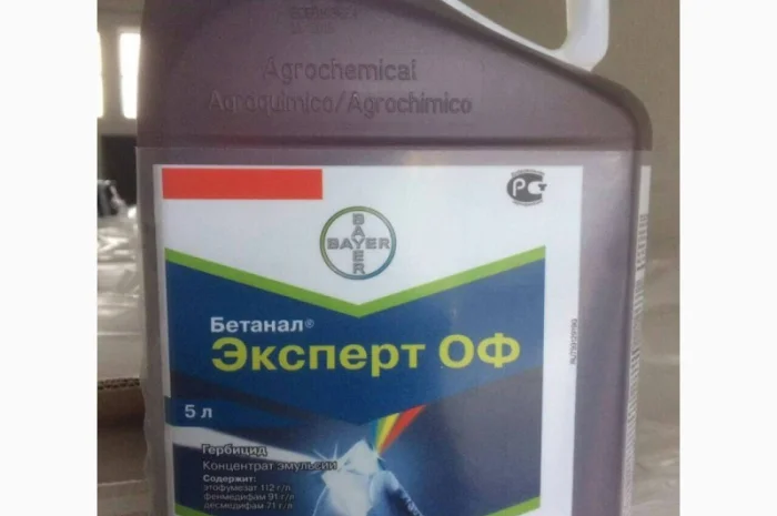 Бетанал Експерт(Оригінал)- фото № 1