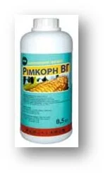 Римкорн ВГ （Титус）- фото № 1