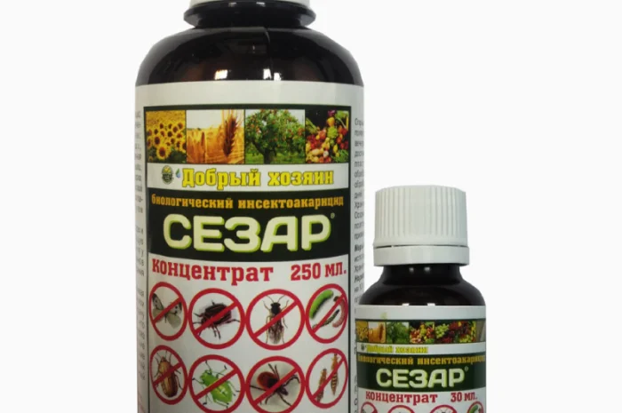 Биопрепарат «Сезар» для борьбы с вредителями растений- фото № 1