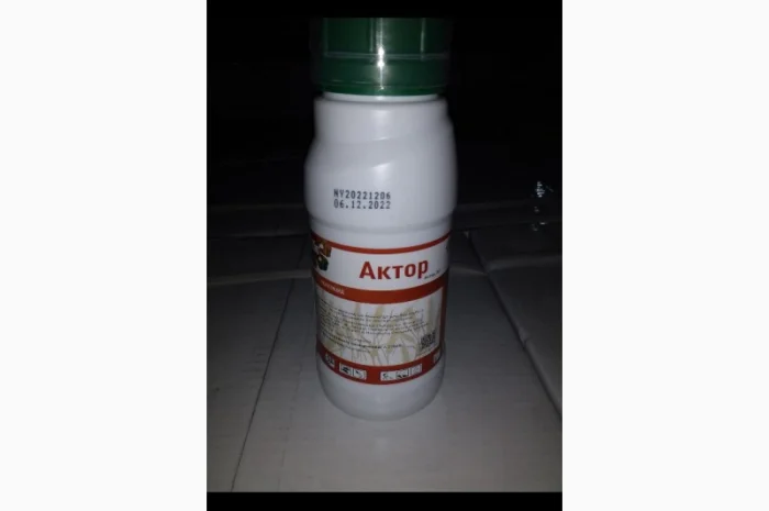 Актор - системний інсектицид для боротьби з комплексом шкідників- фото № 1