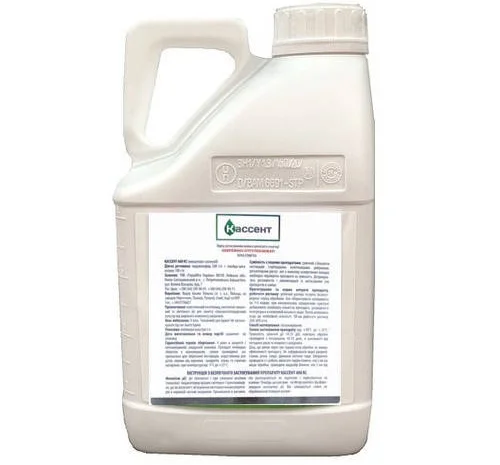 Кассент 400 КС - високоефективний інсектицид для захисту рослин- фото № 1