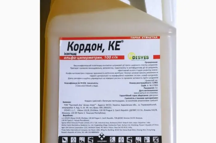 Кордон- фото № 1