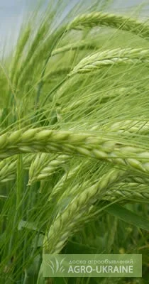 Инсектицид нурел д- фото № 1