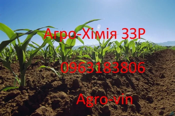 Інсектицид картопля инсектицид конфидор- фото № 1