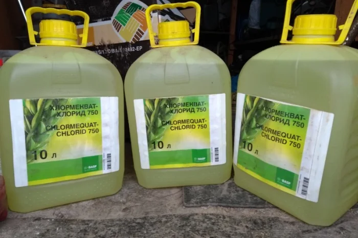 Выкуп остатки- фото № 11