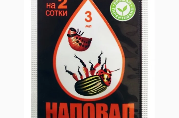 Наповал(аналог калипсо- фото № 1