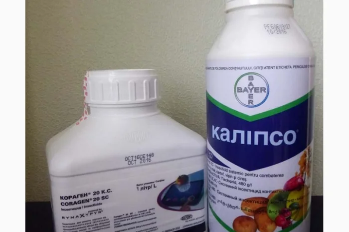 Кораген инсектицид для сада и огорода- фото № 3