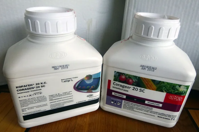 Кораген инсектицид для сада и огорода- фото № 6