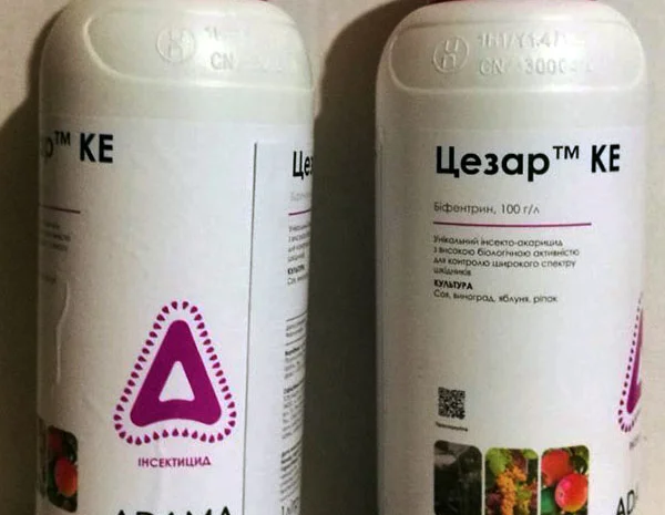 Цезарь инсектицид для сада и огорода- фото № 2