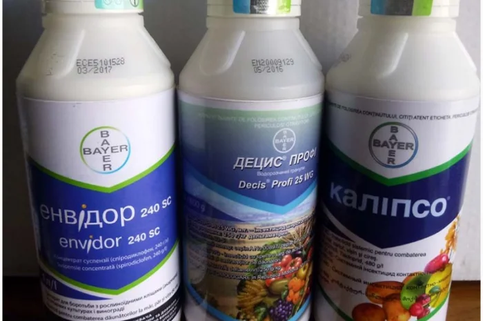 Калипсо системный инсектицид для сада и огорода- фото № 5