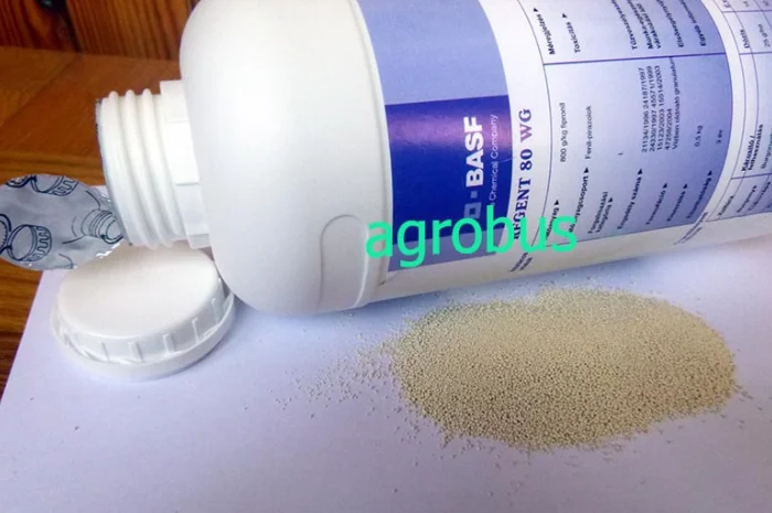 Регент инсектицид для сада и огорода- фото № 1