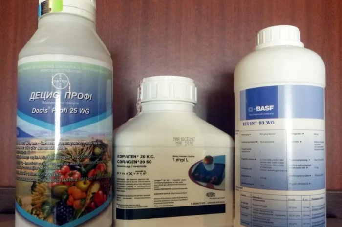Децис профи инсектицид для сада и огорода- фото № 2