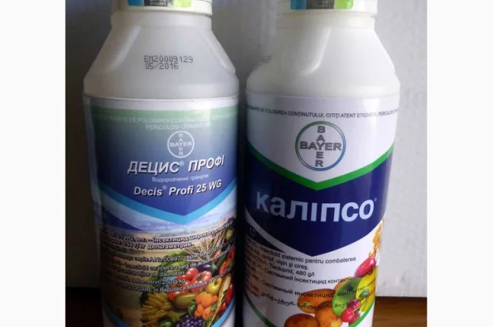 Децис профи инсектицид для сада и огорода- фото № 6